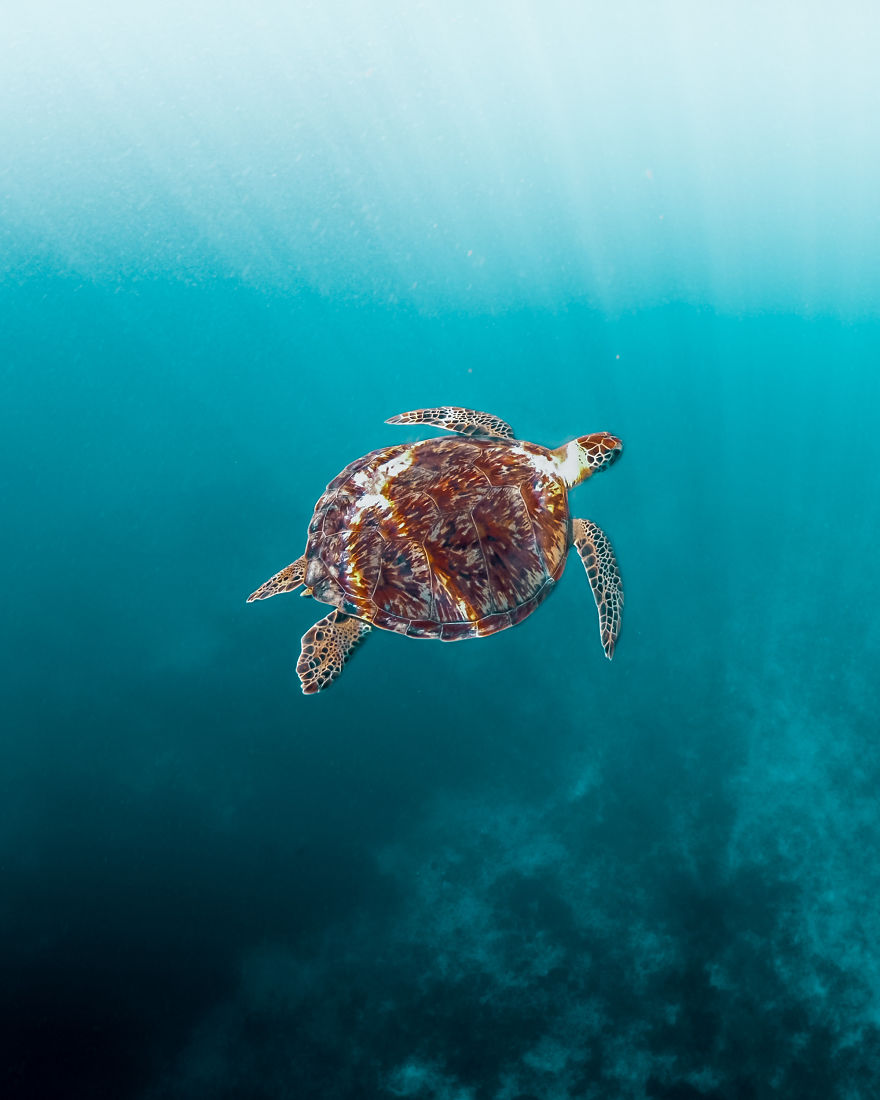 Peaceful-underwater-world-by-makyandmatt-Czech-Republic-5f686d77034cb__880.jpg