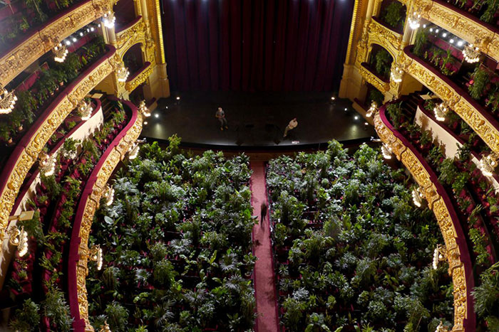 barcelona-opera-house-reopens-plays-to-plants-51.jpg