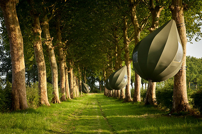 tent-tree-teardrop-camping-belgium-5f2157a722094__700.jpg