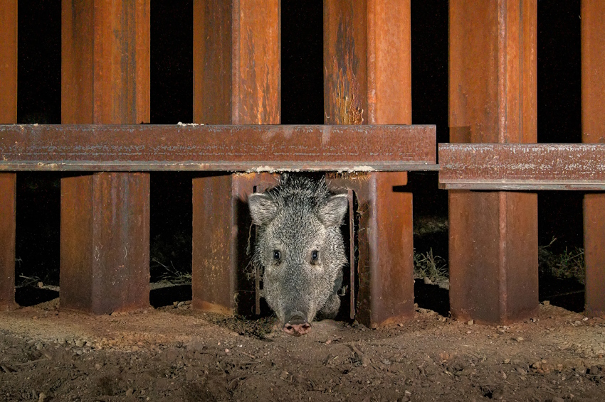 NAT GEO