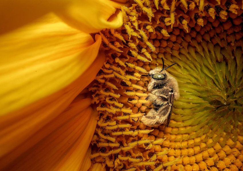 NAT GEO